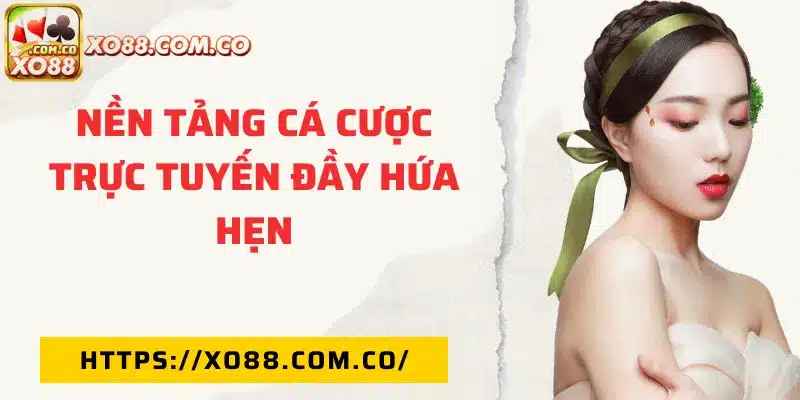 Nhà cái cá cược trực tuyến uy tín